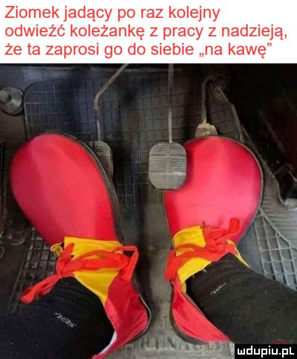 Obrazek