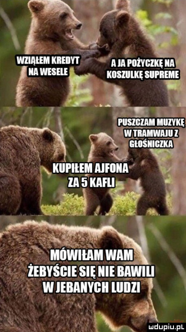 Obrazek