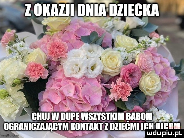 Obrazek