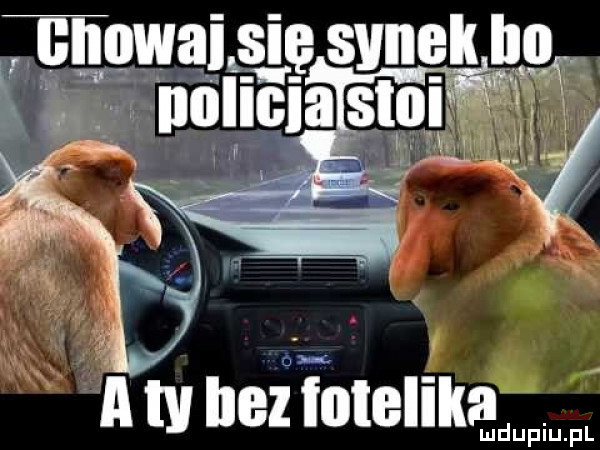 Obrazek