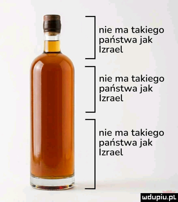 nie ma takiego państwa jak izrael nie ma takiego państwa jak izrael nie ma takiego państwa jak izrael ludu iu. l