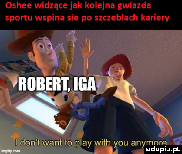 Obrazek