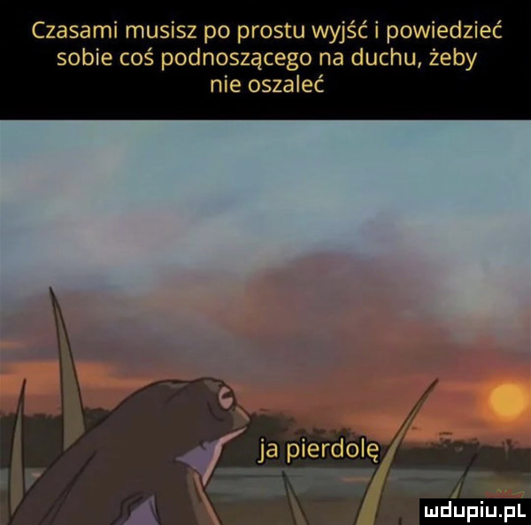 Obrazek