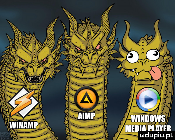 winamf media fląveii mduplu pl