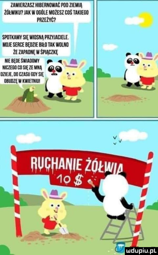 zaiieriasz ibernowab plii ziemią mwmw jak w mole mrzesz bas iaxiebd prieivc smwav sie musu mzvmuzu. umssmcsazummuanma    wan w mm me bani swumuv q. mczmucostmunq diiejejjd eiisij lil sie qq. i