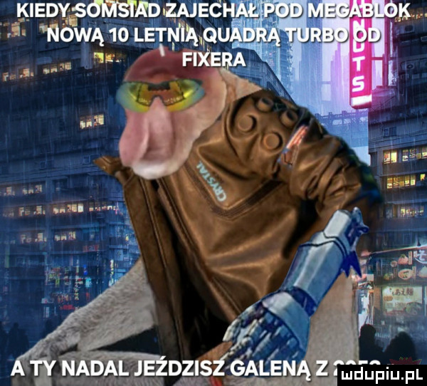 Obrazek