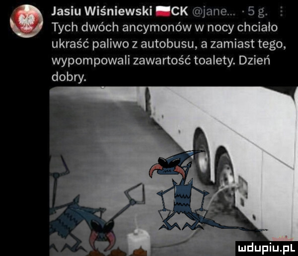 tych dwóch ancymonów w nocy chciało ukraść paliwo z autobusu a zamiast tego wypompowali zawartość toalety. dzień dobry. jasiu wiśniewski l ck jane.   g