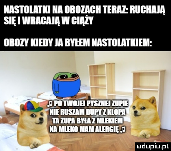 Obrazek
