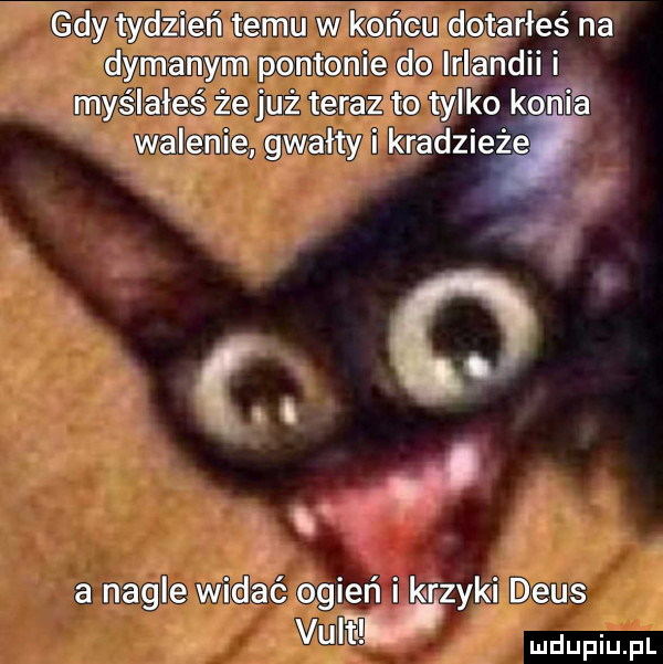 Obrazek