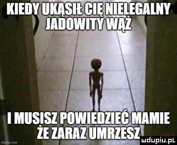 Obrazek