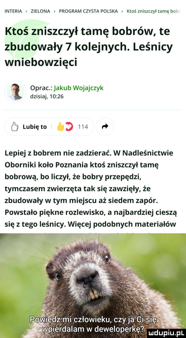 Obrazek