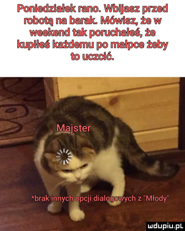 Obrazek