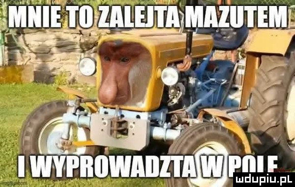 gg tęłaieeałmmutfml iwypililwaiil i a i lai f ludupiu. pl