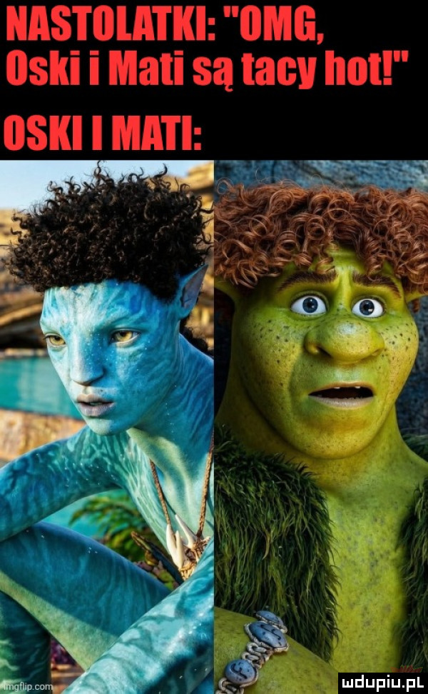 Obrazek