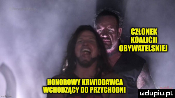 Obrazek