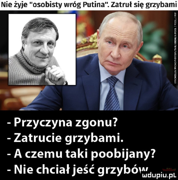 Obrazek