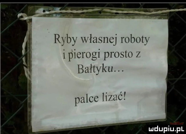 Obrazek