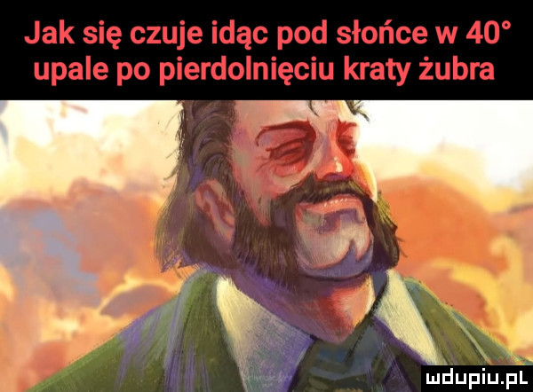 Obrazek