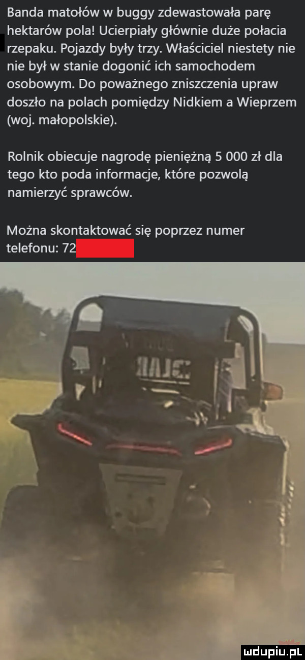 Obrazek