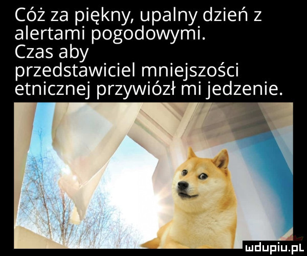 Obrazek