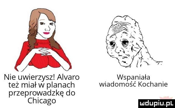 Obrazek