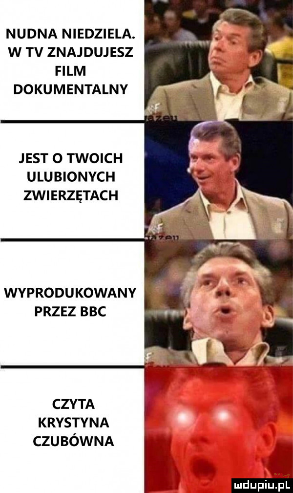 Obrazek