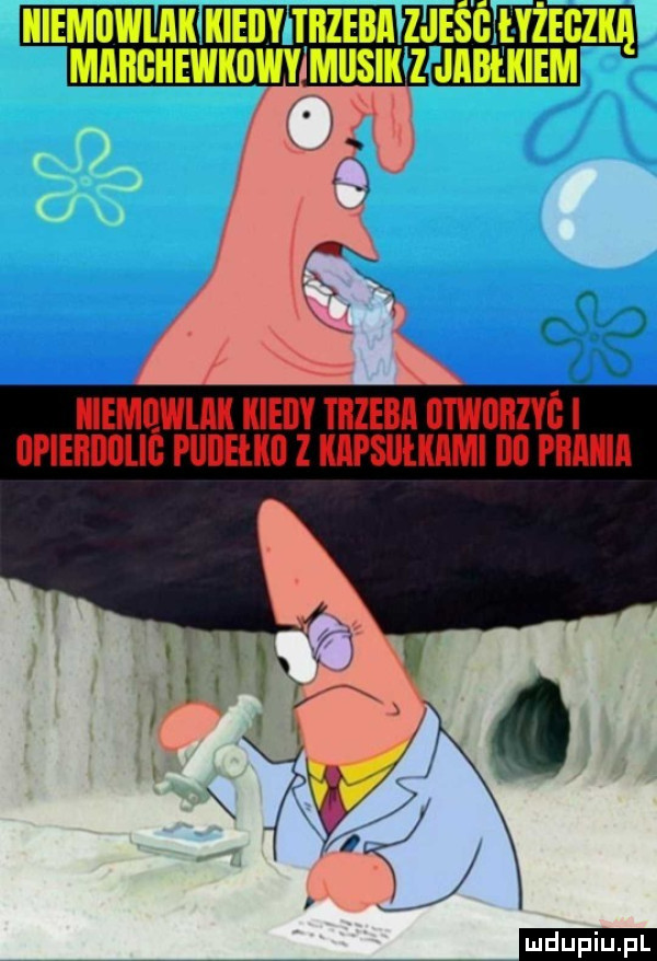 Obrazek