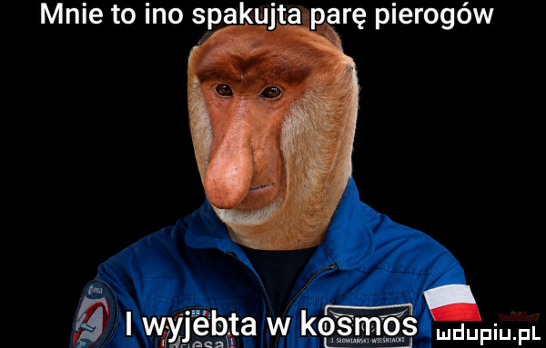 Obrazek