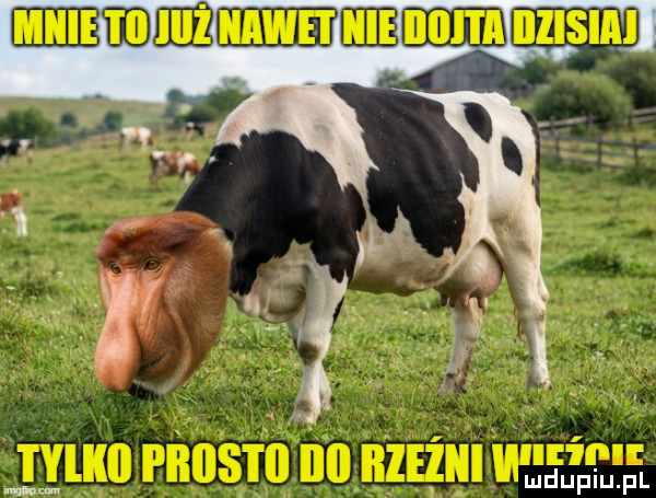 Obrazek
