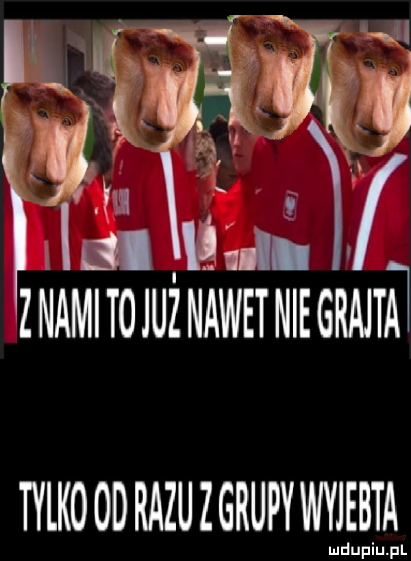 Obrazek
