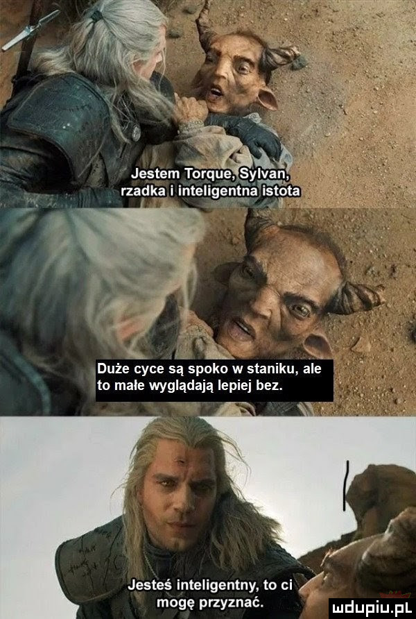 Obrazek