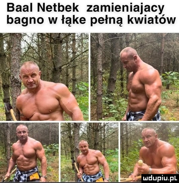 Obrazek