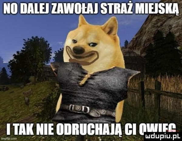 Obrazek