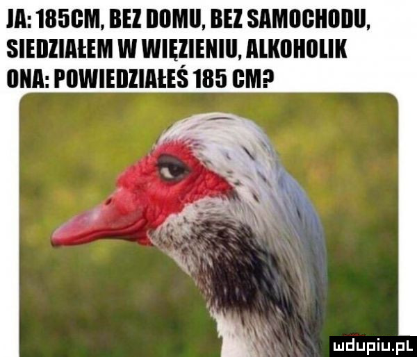 ia    gm bez iiomii bai simogiioiiii. sieiiiiałem w więieniii alkiiliiilik ilia piiwieiiziałe     gm m mduplu pl
