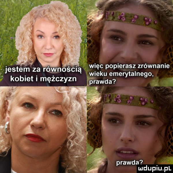 Obrazek
