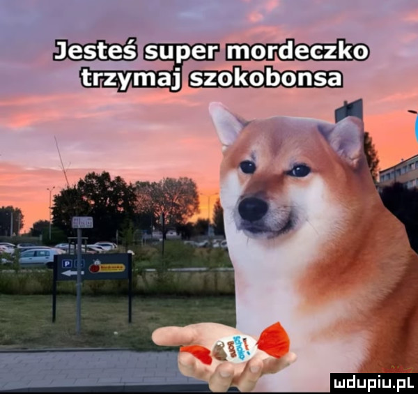 Obrazek