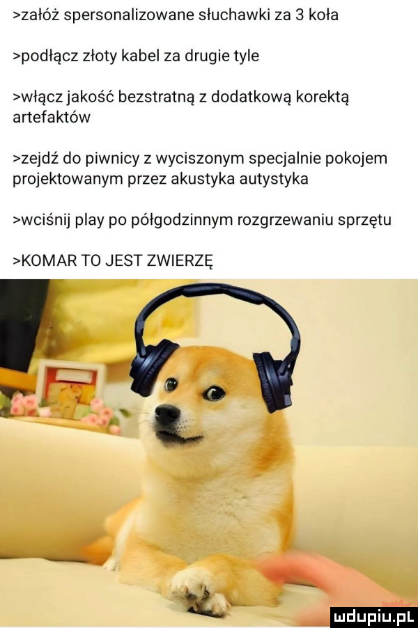załóż spersonalizowane słuchawki za   koła podłącz złoty kabel za drugie tyle właczjakość bezstratną z dodatkową korektą artefaktów zejdź do piwnicy z wyciszonym specjalnie pokojem projektowanym przez akustyka autystyka wpis naj play po półgodzinnym rozgrzewaniu sprzętu komar to jest zwierzę