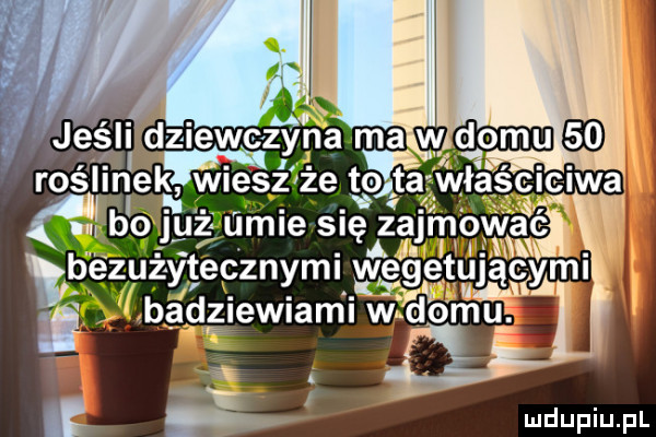 v jeśli dziewcź   a ma vv lfgtomu. abakankami u. abakankami. abakankami rosllnek wles z ze gcqéquscu ikwa ą u ż val mie się zaćm. k