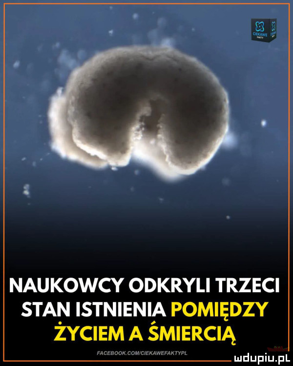 Obrazek