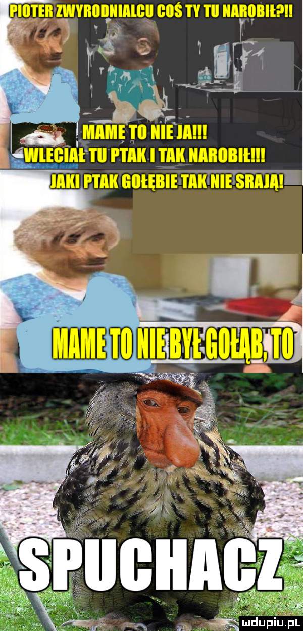Obrazek