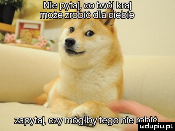 mb pyta twój kraj dla ciebie r h o mam m gaby tegg w seplgiu. fl