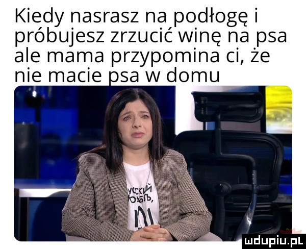 kiedy nasrasz na podłogę próbujesz zrzucić winę na psa ale mama przypomina ci ze nie macie osa w domu