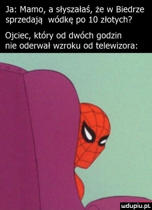 Obrazek