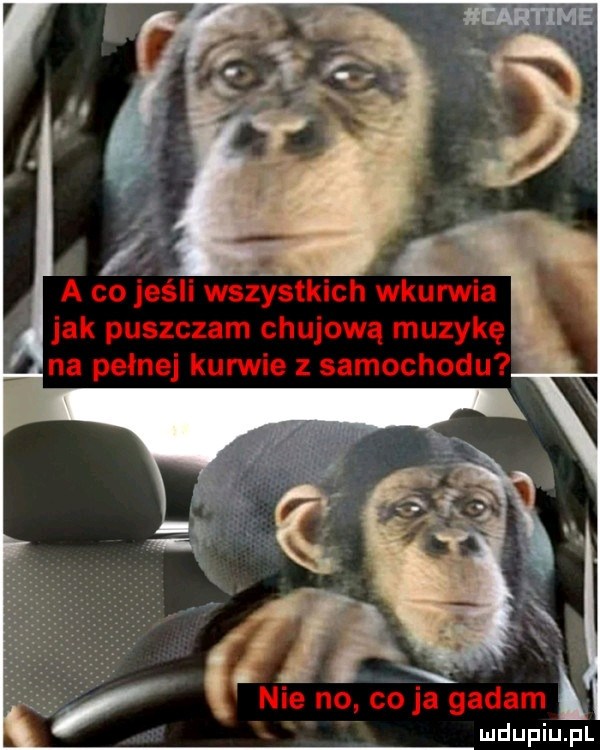 a co jeśli wszystkich wkurwia jak puszczam chujową muzykę na pełnej kurwie z samochodu nie no co ja gadam