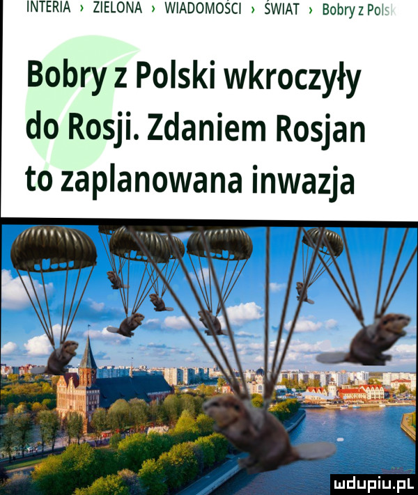 Obrazek