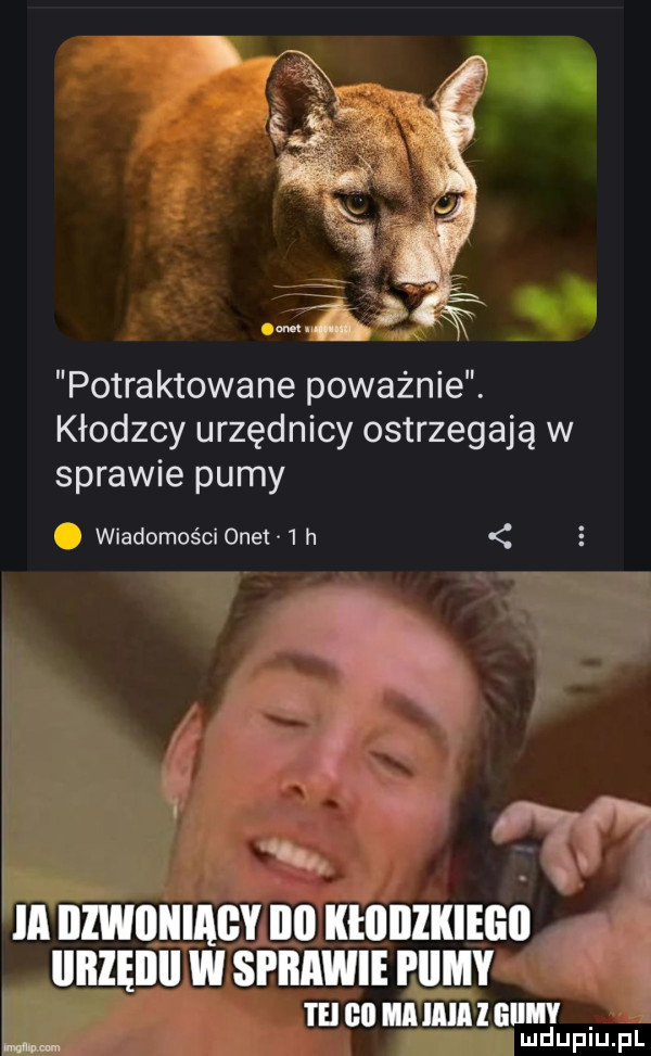 potraktowane poważnie. kłodzcy urzędnicy ostrzegają w sprawie pumy wiadomości onet   h i o l l ia illwiliiillgy ibl klllllliliegij. iiiizęiiii w sprawie i irmy tai cn mmm nam ww mduplu pl