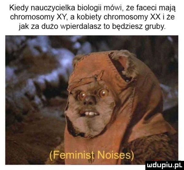 kiedy nauczycielka biologii mówi że faceci mają chromosomy xy a kobiety chromosomy xx i że jak za dużo wpierdalasz to będziesz gruby. feminist noises