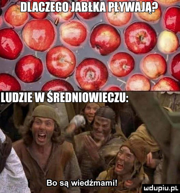 Dlaczego jabłka pływają?