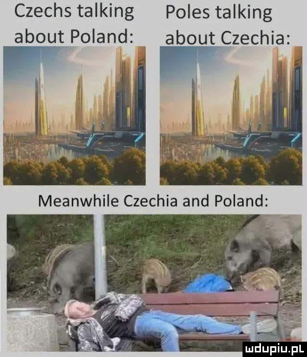 Obrazek