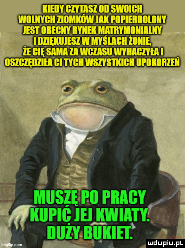 Obrazek